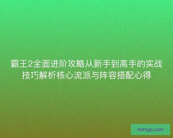 霸王2全面进阶攻略从新手到高手的实战技巧解析核心流派与阵容搭配心得