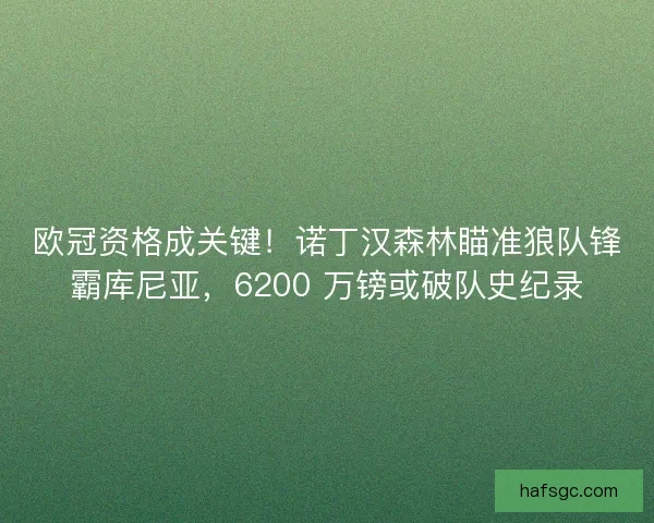 欧冠资格成关键！诺丁汉森林瞄准狼队锋霸库尼亚，6200 万镑或破队史纪录
